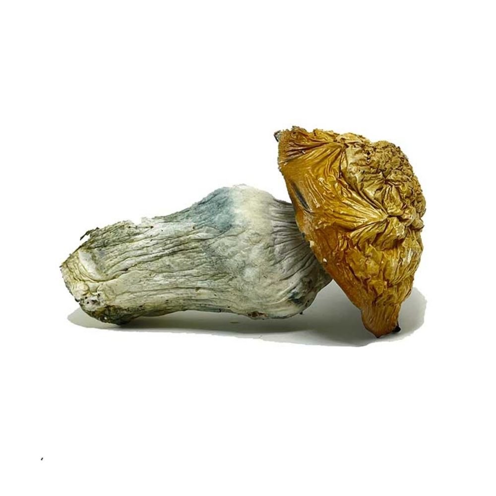 Buy Penis Envy Mushroom Online USA - Image 5
