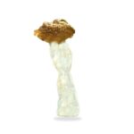 Buy Tidal Wave Magic Mushrooms Online USA