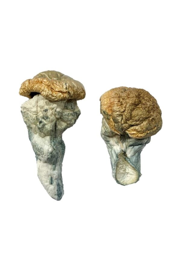 Shop Secondary Image